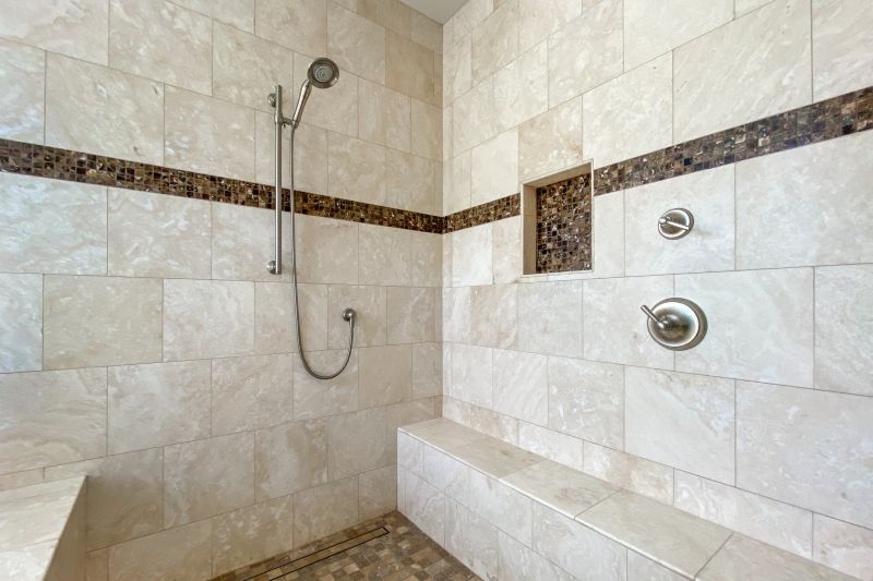 Elegant Shower Niche